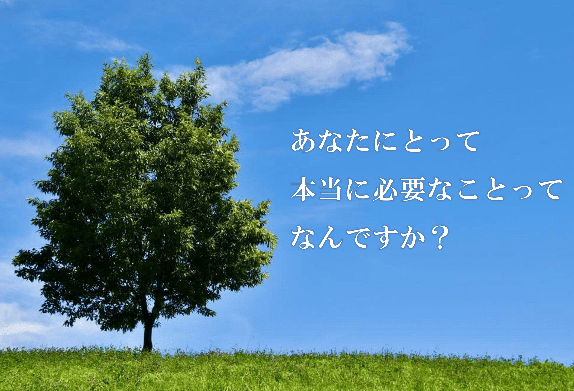 根腐れしない人生を♡