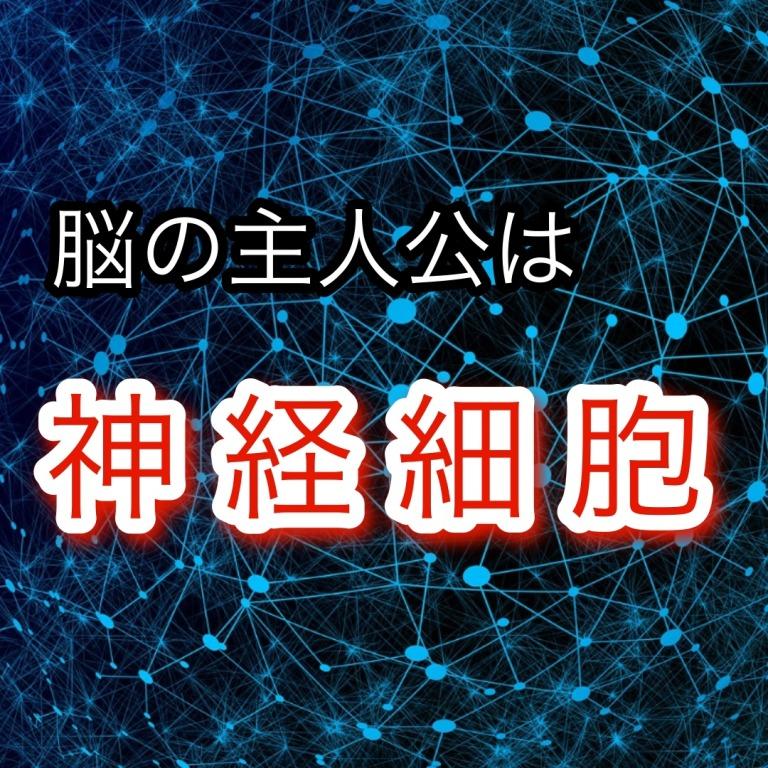 睡眠・あなたの脳は小宇宙です♡