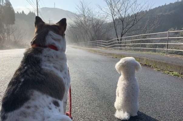 限りがあるから、大切にしたい♡