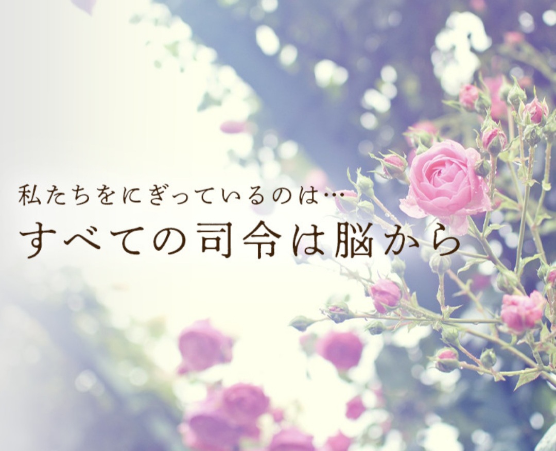 結局今を生きるしかない…だから「心」しかない！