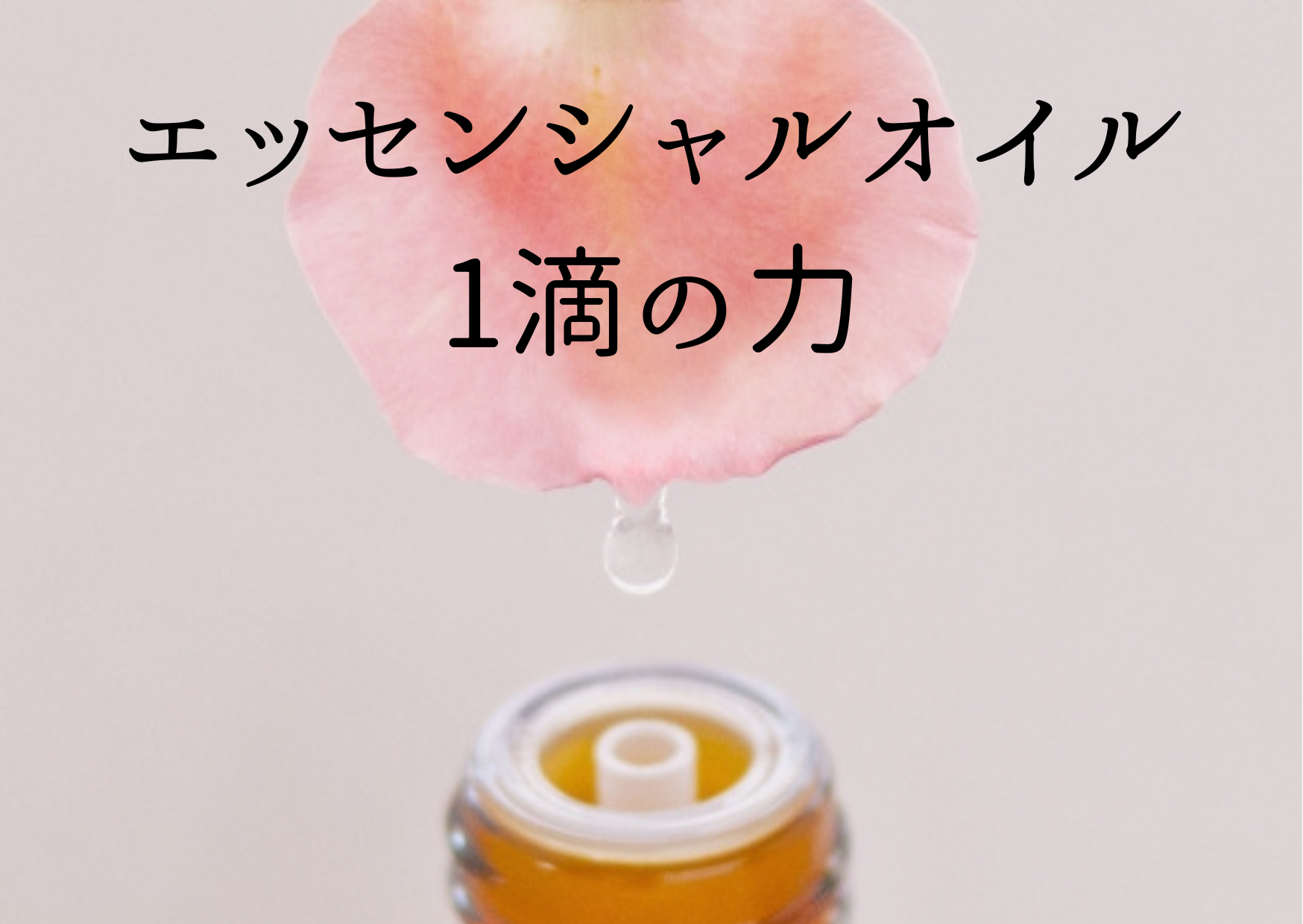 ﾒｸﾞｽ（ｽｷﾝｹｱ）感じてみて、植物の力を♡