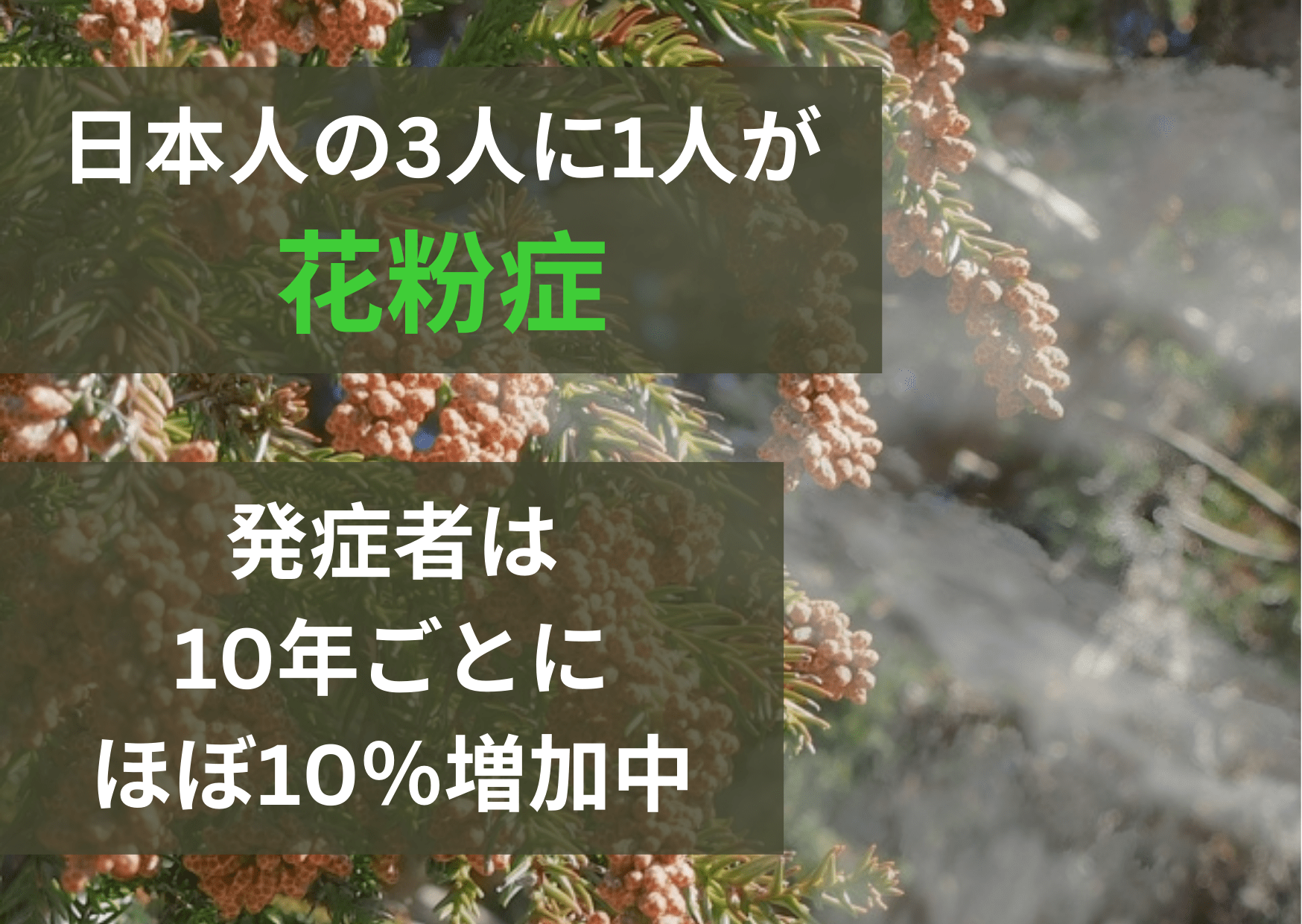 花粉症の対策、あなたはどうしてる？