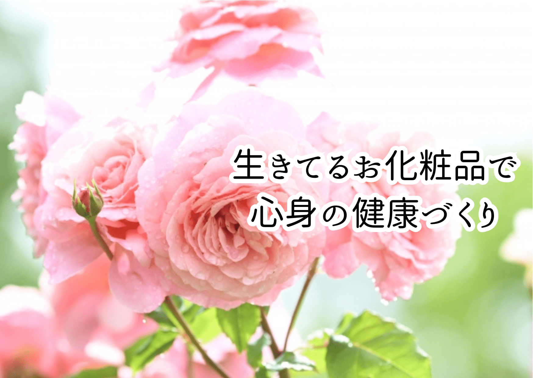美容液セット(イリワ)すごーくお得です♡