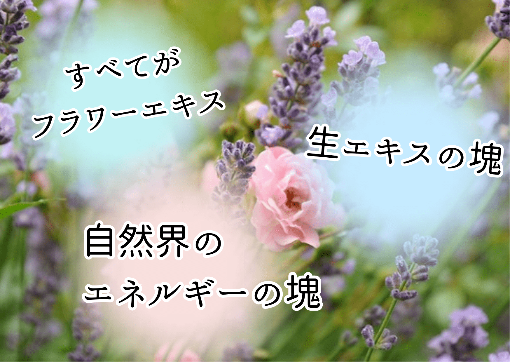 ﾒｸﾞｽ化粧水（COO）・お顔の香水あります♡