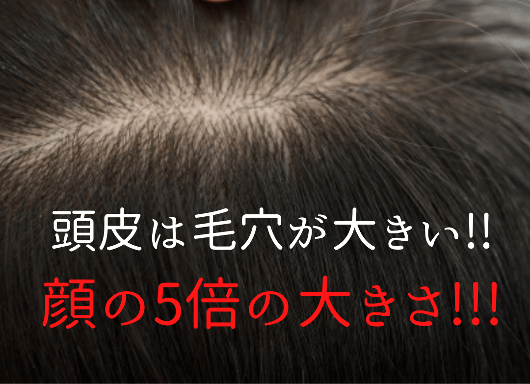 頭皮ｷｬﾝﾍﾟｰﾝの症例写真、12/15が締め切りです♡