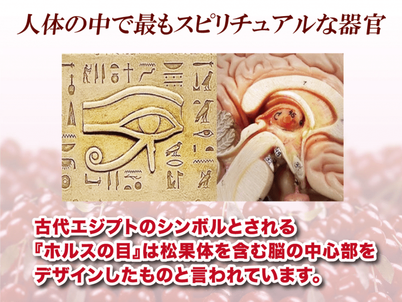 デトックス・睡眠こそ、スピリチュアルです♡